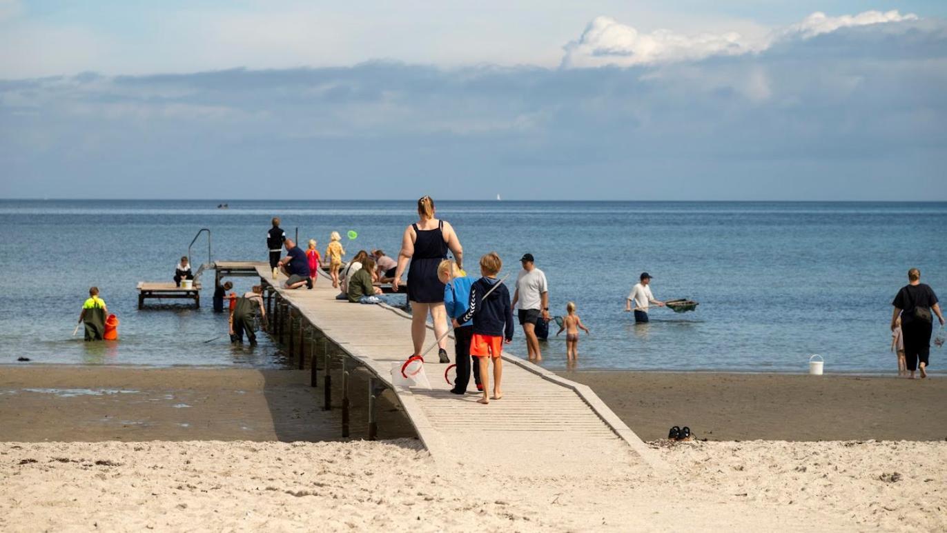 Camping Hestehaven